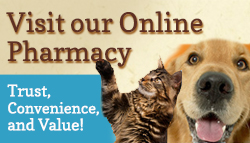 Visit Pharmacy Banner Natural